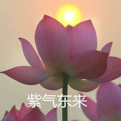 我是大富翁h5游戏下载